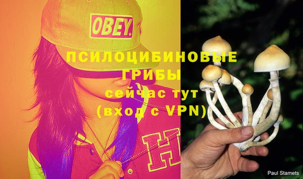 герыч Михайлов