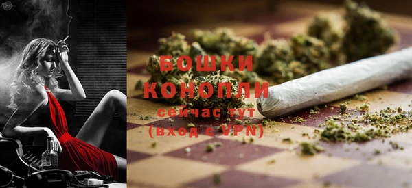 ПСИЛОЦИБИНОВЫЕ ГРИБЫ Михайловка