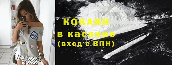 ПСИЛОЦИБИНОВЫЕ ГРИБЫ Михайловка